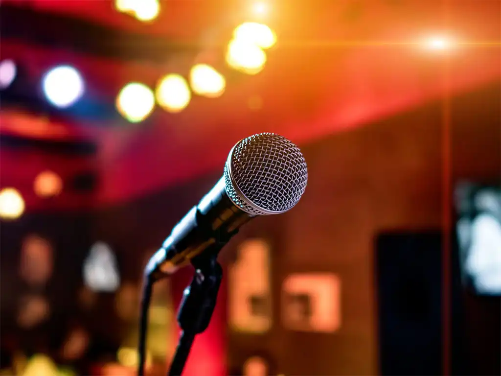 A microphone found in karaoke bars
