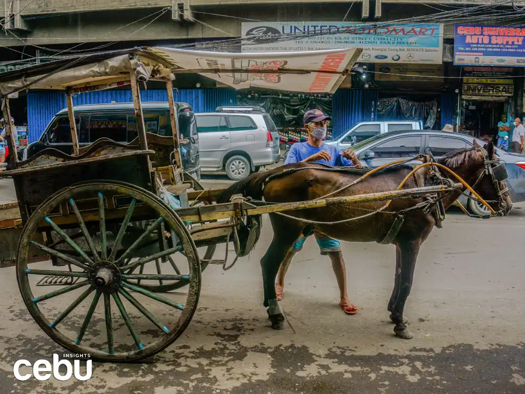 A driver takes care of his horse and Tartanilla, one of the oldest forms of transportation in the Philippines, at the Junquera Street