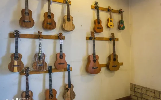 Guitars and Ukuleles at the Susing’s Guitar Factory